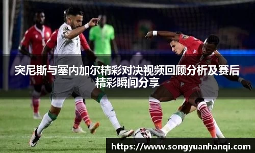 突尼斯与塞内加尔精彩对决视频回顾分析及赛后精彩瞬间分享